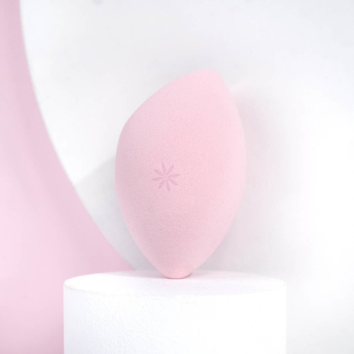 Body Blender Sponge