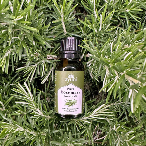 Rosemary Essential Oil 15ml