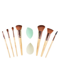 Ultimate Brush Collection 9 kpl