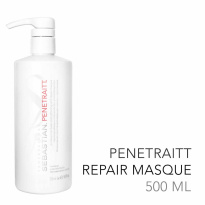 Professional Penetraitt Masque 500ml