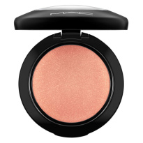 Mineralize Blush Love Joy 3,2g