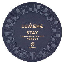 Stay Luminous Matte Powder 10 g ─ #4