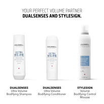 StyleSign Bodifying Control Mousse 300 ml