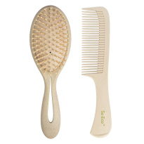 Biodegradable Gentle Detangling Hair Set 2 kpl