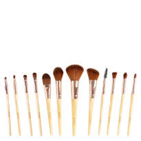 Luxury Brush Set