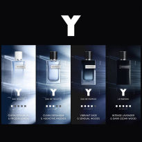 Y Eau De Parfum 100 ml