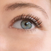 Twist Up The Volume Bond Force Black Mascara 8 ml