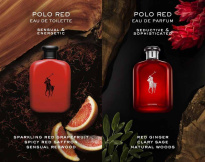 Polo Red Eau De Parfum 75 ml