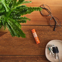 Dr. Bronner Orange Ginger Organic Lip Balm 4 g