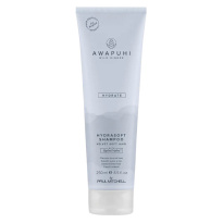 Awapuhi Wild Ginger HydraSoft Shampoo 250 ml