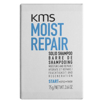 Moist Repair Solid Shampoo 75 ml