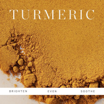 Turmeric Glow Moisturizer Refill 50 ml