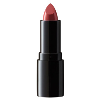 Perfect Moisture Lipstick 4,5 g – 228 Cinnabar