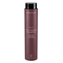 Level Up Volumizing Shampoo 250 ml