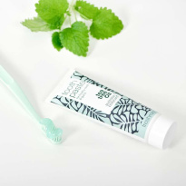 Tooth Paste 75 ml – Fresh Mint