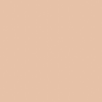 The No Compromise Matte Longwear Powder 7 g ─ 66 Warm Beige