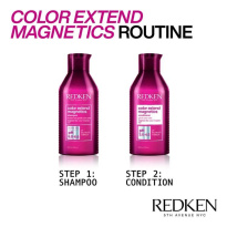 Color Extend Magnetics Conditioner 500ml