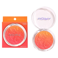 Signature Ombre Blush 005 Orange Blossom 9g