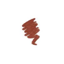 Color Statement Lipliner Spice 1,14g