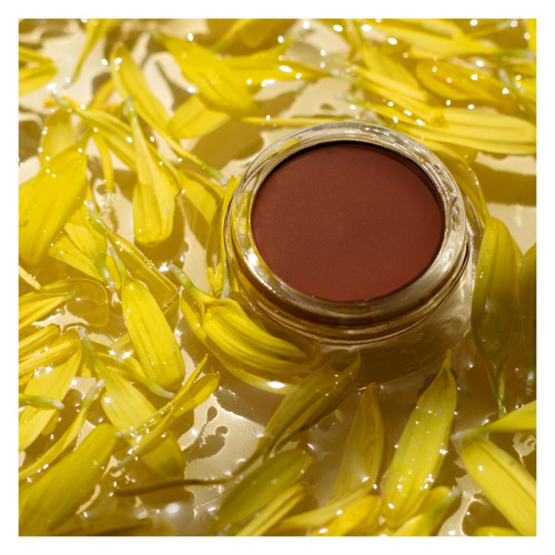 Arnica All-Cover Pot 5 g – Espresso