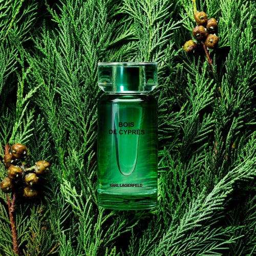 Bois De Cyprès Eau De Toilette 100 ml