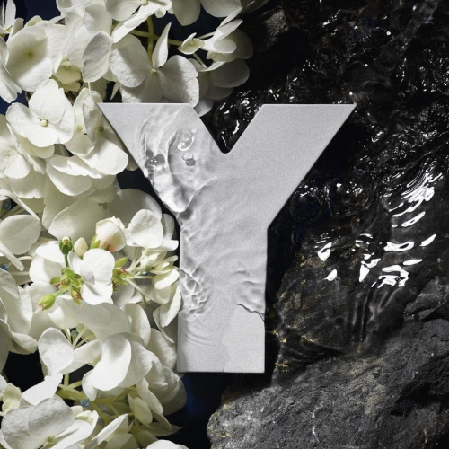 Y Eau De Toilette 60ml