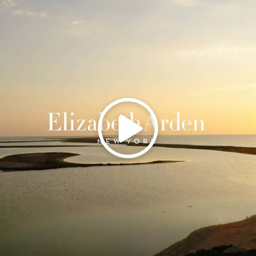 White Tea Eau De Parfum 100 ml