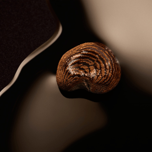 The Scent For Her Magnetic Eau De Parfum 30 ml