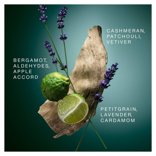 Instinct 20TH Anniversary Spray Deodorant 150ml