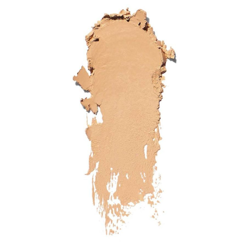 Skin Foundation Stick N-030 Neutral Sand 9g