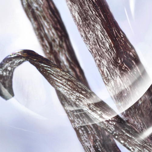 La Vie Est Belle Iris Absolu Eau De Parfum 100 ml