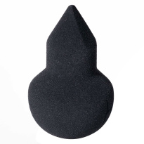 The Sponge