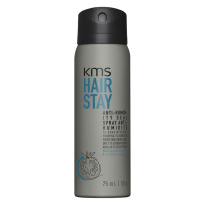 HairStay Anti-Humidity Seal 75ml