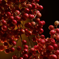 The One Eau de Parfum Intense 50ml