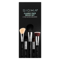 Classic Face Brush Set