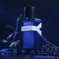 Y Eau De Parfum Intense 100 ml