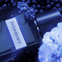Y Eau De Parfum Intense 100 ml
