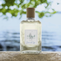 Polo Earth Provencial Sage Eau De Toilette 100 ml