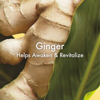 Ginger Essence Sensuous Skin Scent 100 ml