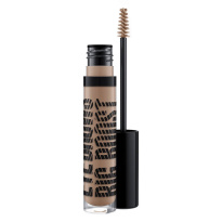 Eye Brows Big Boost Fibre Gel Fling 4,1g
