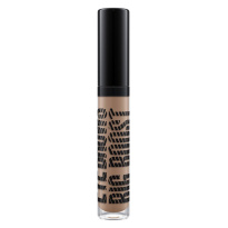 Eye Brows Big Boost Fibre Gel Fling 4,1g