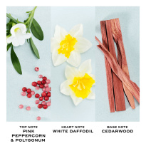 Perfect Eau De Toilette 100 ml