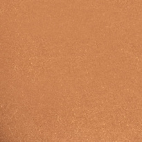 The Bronzing Powder 10 g ─ 46 Golden Tan