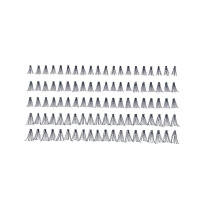 Individual Lashes 100 Clusters
