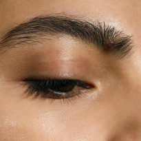 The Brow Pencil #1 Dark Brown 1g