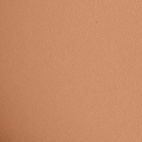 The Bronzing Powder 10 g ─ 48 Matte Tan