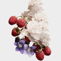 Her Eau De Parfum For Women 50ml