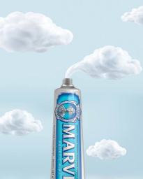 Toothpaste Aquatic Mint 85 ml