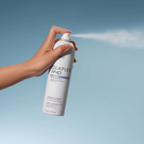 No. 4D Clean Volume Detox Dry Shampoo 250 ml