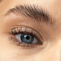 Brow Story Gel 8g